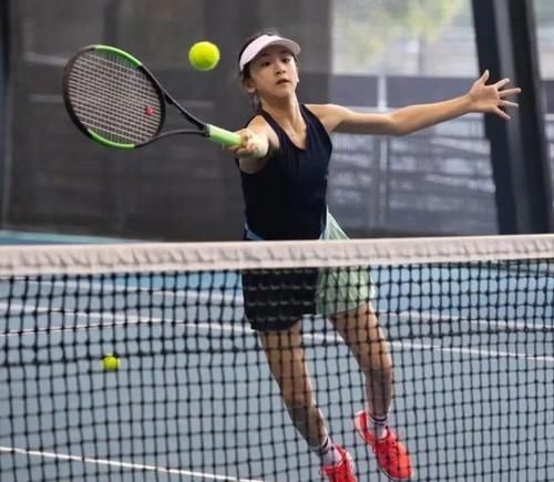 成长与老牌 成长与老牌