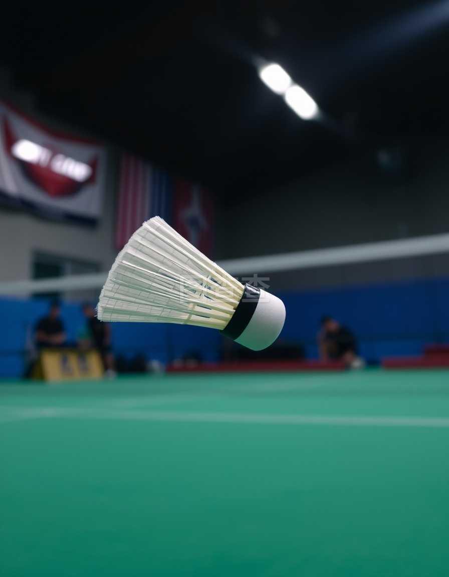 自由动作 自由动作